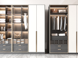 Light Luxury Wardrobe Combination 3d model