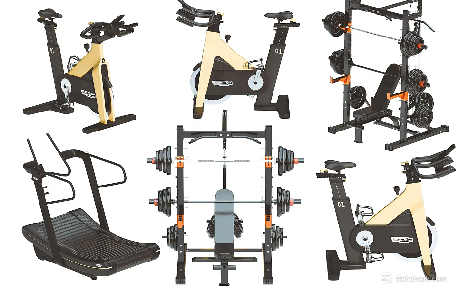 Essential Home Gym Sports Equipment Featuring Treadmill Spin Bike And Weight Racks 3d model 