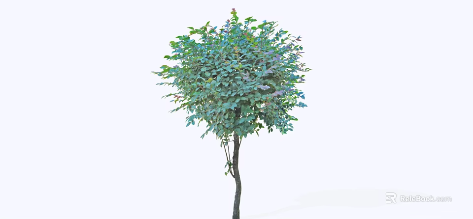 Lush Arbor With Vibrant Green Foliage Rounded Canopy And Purple Blossoms 3d model 