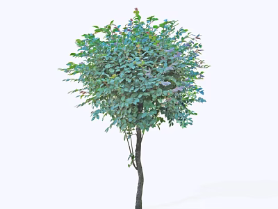 Lush Arbor With Vibrant Green Foliage Rounded Canopy And Purple Blossoms 3d model