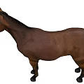 Brown Horse Standing Gracefully Against White Background In Studio Setting 3d model