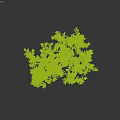 Ornamental Decorative Set Featuring Lifelike Olive Tree with Natural Trunk and Foliage