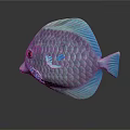 Vibrant Purple And Blue Disc Fish With Iridescent Scales And Orange Eye On Dark Background