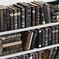Vintage Bookcase With Organized Rows Of Classic Books And Decorative Spines