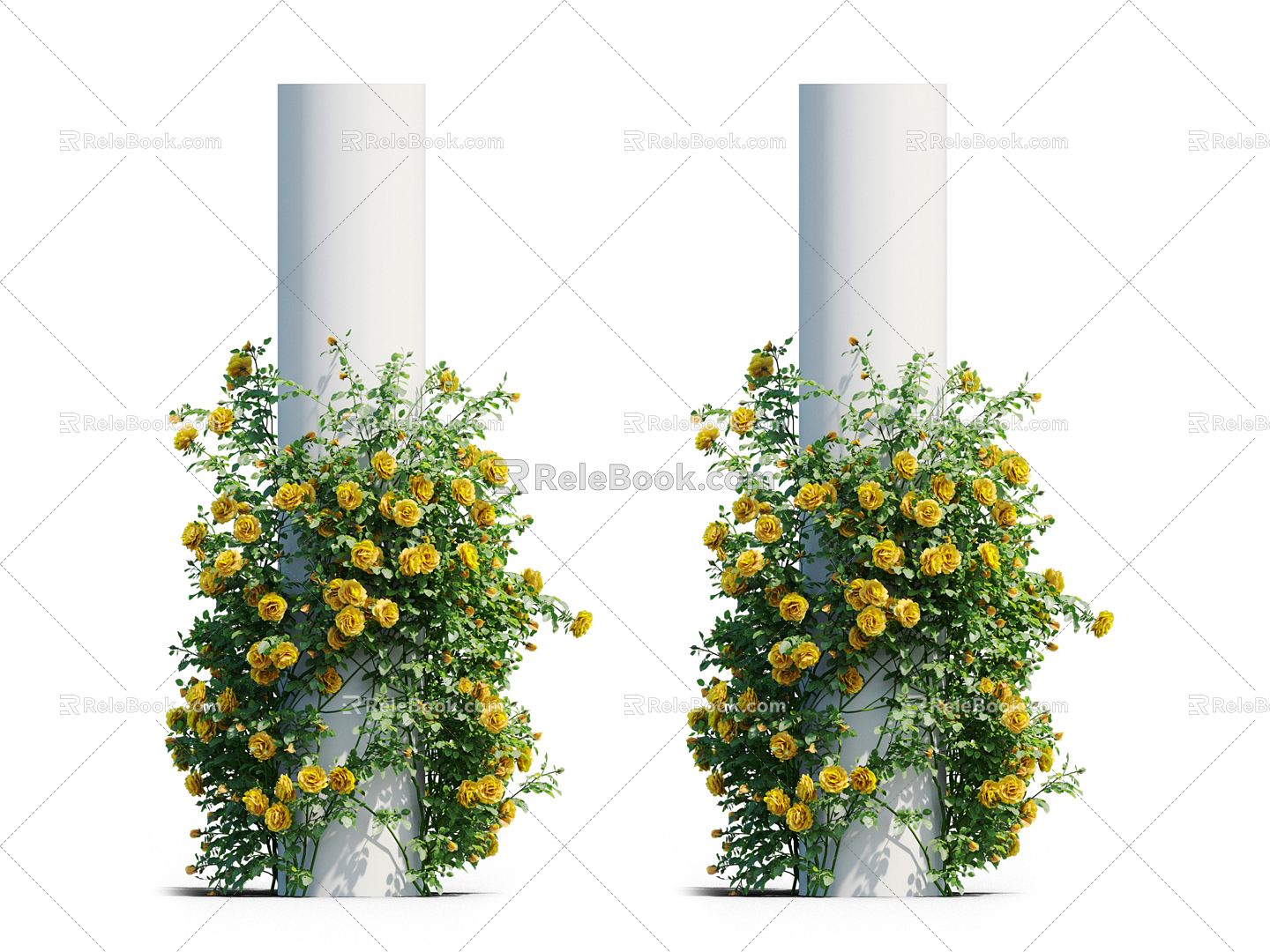 Modern Vine Vine Plant 3d model