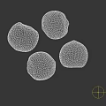 Fresh Natural Hazelnuts With Brown Textured Shells On Dark Background