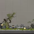 Natural Indoor Landscape With Rockery Green Plants Stones Moss And Small Lanterns