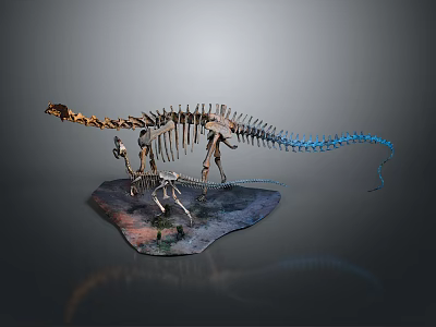 Large And Small Dinosaur Skeleton Display With Blue Tail And Textured Base 3d model