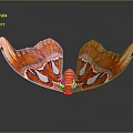 Vibrant Red and Orange Moth Wings With White Spots On Dark Background 3d model