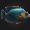 Vibrant Blue And Orange Fish With Yellow Eyes On Dark Background Realistic Rendering