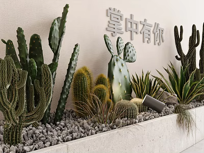 Cactus And Succulent Plants In Decorative Gravel Bed 3d model
