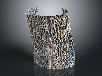 Natural Wooden Stump Decorative Vase With Bark Texture And Crafted Design 3d model