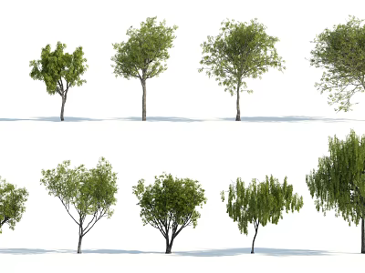 The Modern Tree 3d model