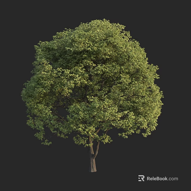 Lush Green Arbor With Dense Foliage And Strong Trunk In Natural Scene 3d model 