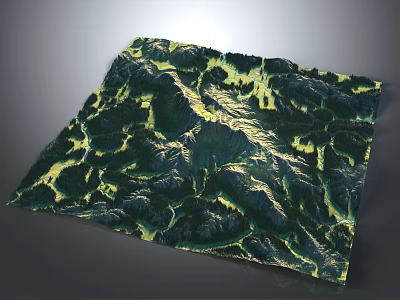 Detailed Topographic Terrain Featuring Mountain Ranges River Valleys And Vegetation Zones 3d model