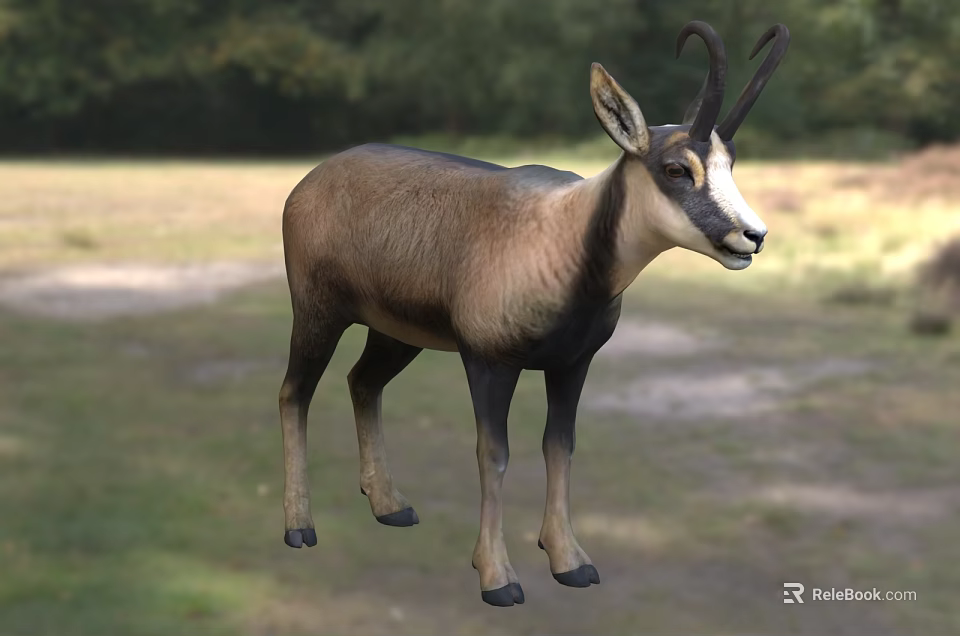 Reptile Standing On Grassy Field With Trees In Natural Background 3d model 