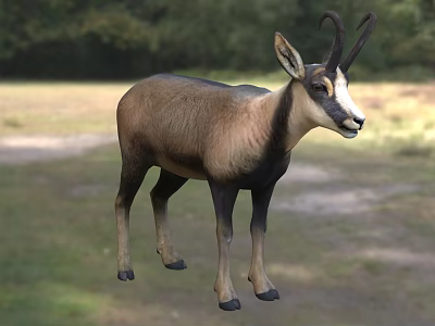 Reptile Standing On Grassy Field With Trees In Natural Background 3d model