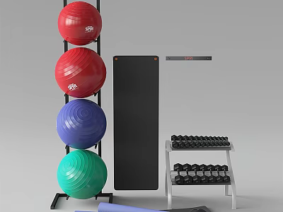 Colorful Sports Equipment Collection With Exercise Balls Yoga Mat Dumbbell Rack And Fitness Board 3d model