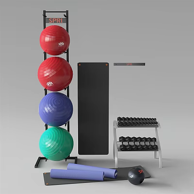 Colorful Sports Equipment Collection With Exercise Balls Yoga Mat Dumbbell Rack And Fitness Board 3d model