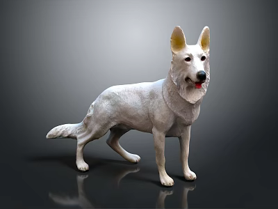 White Dog Standing on Black Background with Detailed Texture and Lifelike Posture 3d model