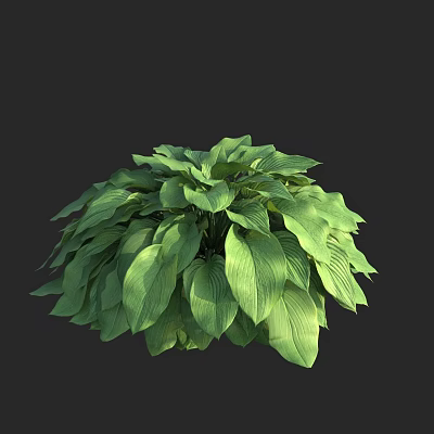 Modern jade hairpin flowers and plants 3d model
