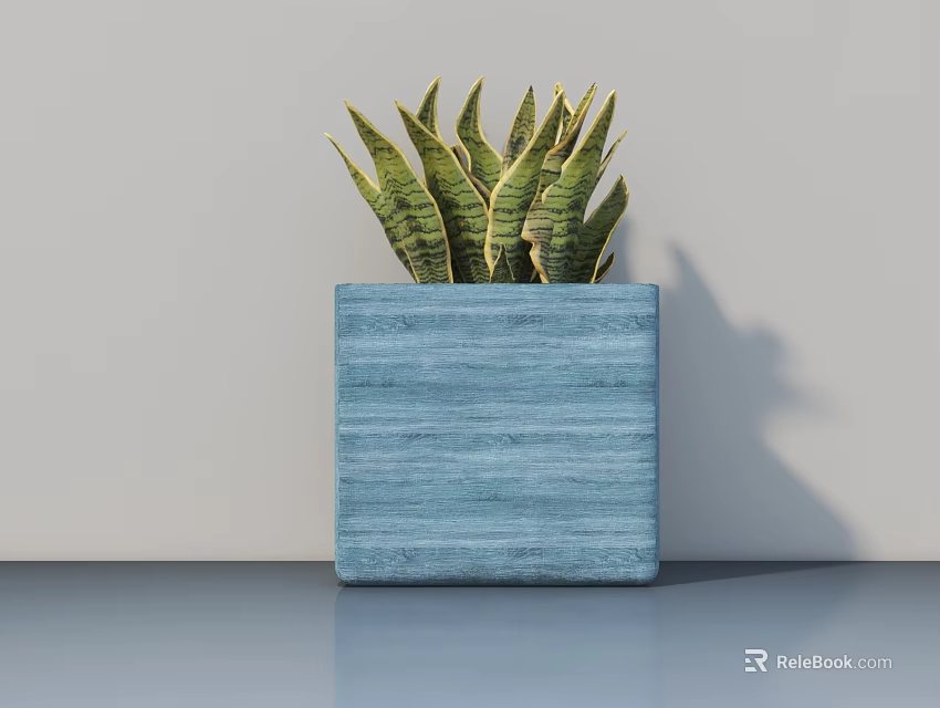 Succulent Potted Plant in Blue Square Wooden Pot with Green Striped Leaves on Smooth Surface 3d model 