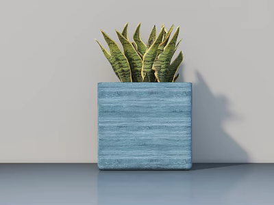 Succulent Potted Plant in Blue Square Wooden Pot with Green Striped Leaves on Smooth Surface 3d model