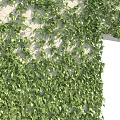Lush Green Vine Wall Featuring Vertical Plant Sections Separated By White Columns 3d model