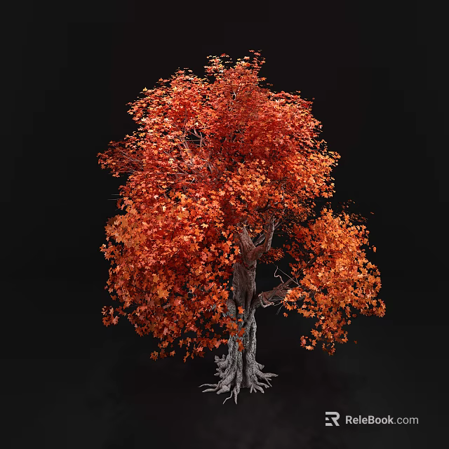 Red Leaf Tree With Lush Canopy And Exposed Roots Against Dark Background 3d model 