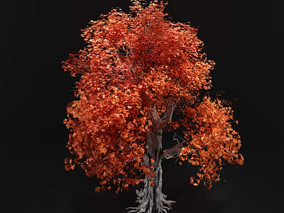 Red Leaf Tree With Lush Canopy And Exposed Roots Against Dark Background 3d model