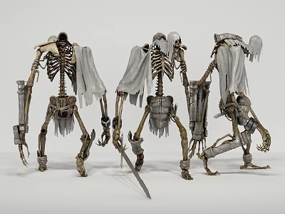 Game and Movie Skeleton Warrior Characters In Standing Poses With Tattered Cloaks Armor And Weapons 3d model
