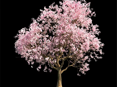 Decorative Ornament Set With Pink Flowering Tree For Home Decoration 3d model