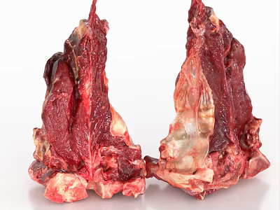 High Quality Raw Bone In Beef With Fresh Red Meat Texture On White Background 3d model