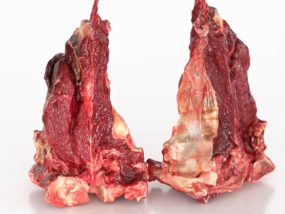 Beef T-bone Steak Meat Pork Fresh 3d model