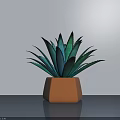Green Leafy Potted Bonsai Plant With Orange Hexagonal Pot On Gray Surface And Light Wall