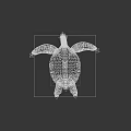 Green Sea Turtle With Pale Shell And Webbed Flippers Swimming On Water Surface
