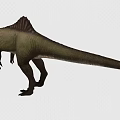 Dinosaur Tyrannosaurus rex Reptiles Ancient creatures carnivorous dinosaur Jurassic low face number low model simple model game film and television level super realistic 3d model
