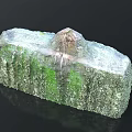 Natural Wood Stone Block With Green Grey Surface Texture For Decorative Use