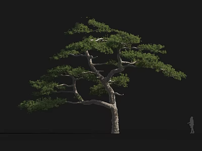 Tall Arbor with Curved Branches Lush Green Foliage and Human Silhouette for Scale 3d model
