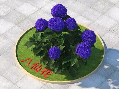 Purple Hydrangea Flowers In Round Planter With Green Foliage And Red Text 3d model