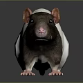 Black And White Rat With Pink Ears Standing On Smooth Dark Surface 3d model