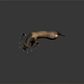 Brown Deer With Large Antlers Standing On Neutral Gray Background