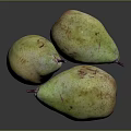Three Fresh Ripe Pears Greenish Yellow with Red Spots on Dark Background