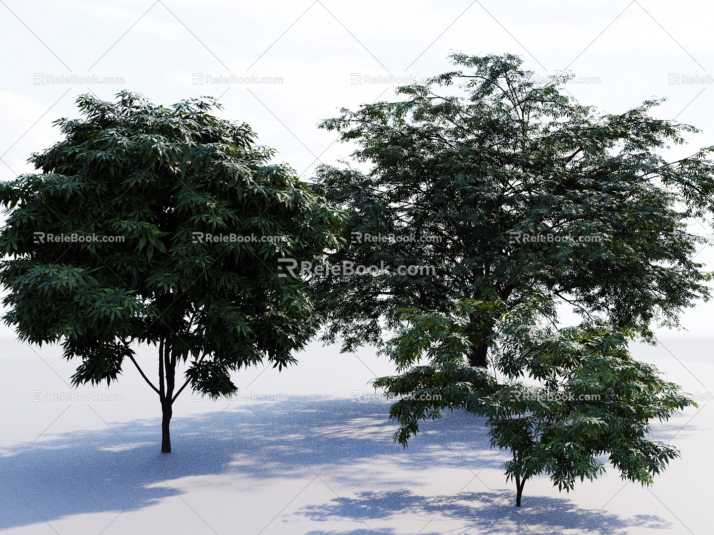 Big Trees Landscape Trees Courtyard Trees Maple Trees Maple Trees Setches Big Trees 3d model