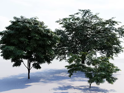 Lush Green Trees with Dense Foliage in Different Sizes in Open Outdoor Space 3d model