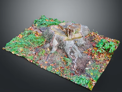 Rustic Wooden Stump and Natural Stone Artwork in Lush Green Plants with Fallen Leaves 3d model