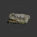 Natural Wooden Stone Block With Rough Surface And Colorful Natural Patterns