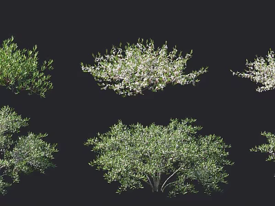 Park bushes, landscape trees, green plants, flower beds, group sketches 3d model