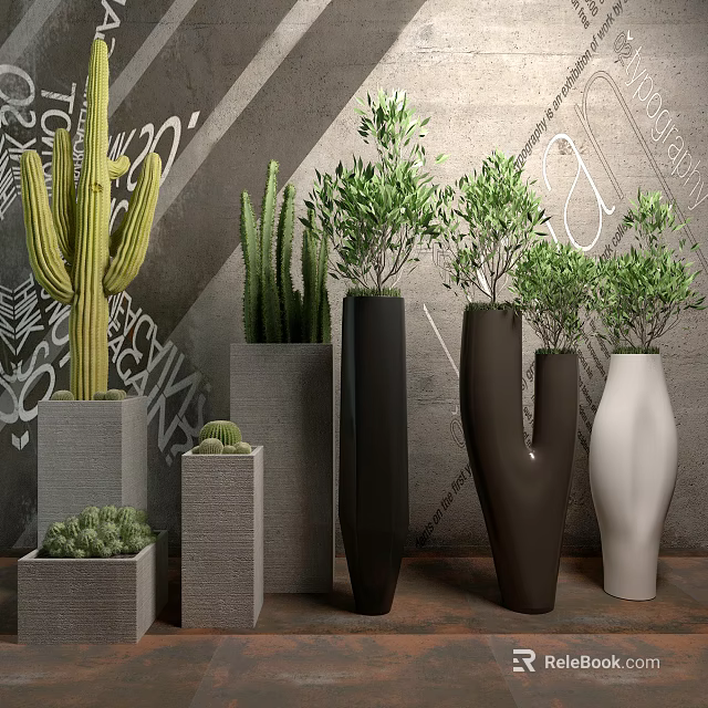 Bonsai Potted Plants With Cactus Greenery In Various Shaped Gray Black White Planters 3d model 