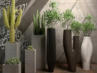 Bonsai Potted Plants With Cactus Greenery In Various Shaped Gray Black White Planters 3d model